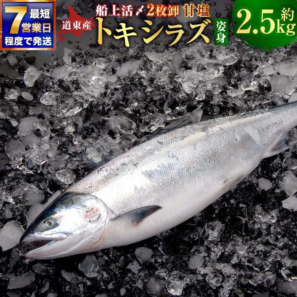 【ふるさと納税】【7日程度で発送】定置網漁法【道東産】船上活〆トキシラズ 2枚卸姿身 2.5kg 甘塩 時鮭 鮭 トキシラズ ときしらず さけ サケ シャケ 魚 魚介類 水産物 冷凍 北海道 釧路市 送料無料