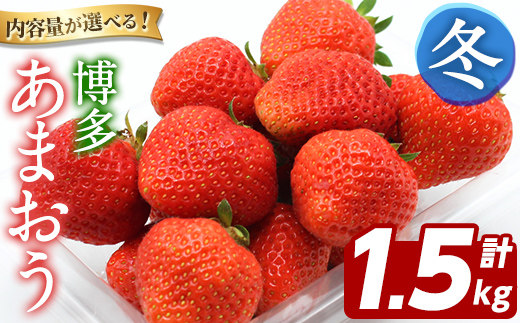 博多 あまおう《冬》 (計1.5kg・250g～270g×6パック) いちご イチゴ 苺 ストロベリー 果物 フルーツ おやつ デザート 冷蔵 アマオウ 旬 小分け 【農産物直売所ほたるの里】as52-007
