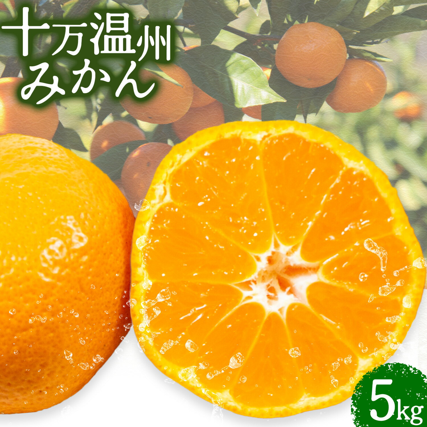 【ふるさと納税】十万温州みかん 5kg 北さつま農協《1月上旬-1月末頃出荷》 鹿児島県 さつま町 送料無料 柑橘 みかん 温州みかん 十万みかん