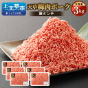 【ふるさと納税】天草梅肉ポーク 豚ミンチ 大容量 3kg 500g×6パック 農林水産大臣賞受賞 豚肉 お肉 梅肉エキス 冷凍 国産 送料無料