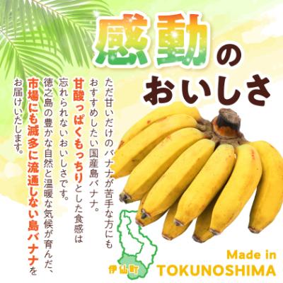 ふるさと納税 伊仙町 貞さんの島バナナ約3kg |  | 01