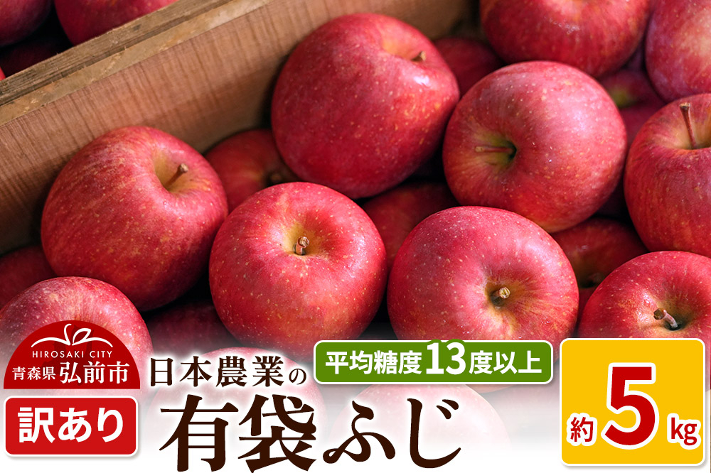 
            りんご 【先行受付】平均糖度13度以上！ 有袋ふじ 約5kg 訳あり CA貯蔵 クール便
          