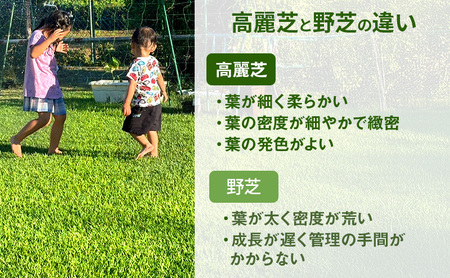 裾野芝（高麗芝）10ロール（10m2）単位　芝 芝生 ガーデニング DIY 庭 天然 天然芝 裾野市 静岡県