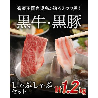 ふるさと納税 南九州市 鹿児島黒牛・黒豚しゃぶしゃぶセット |  | 01