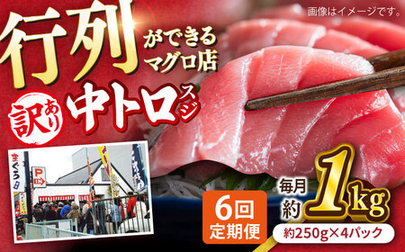 【全6回定期便】【訳あり】天然 本まぐろ 中トロ 計約900g (4柵入り) 鮪 マグロ 魚 刺身 横須賀【横須賀商工会議所 おもてなしギフト事務局（本まぐろ直売所）】 [AKAK069]