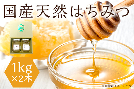 国産はちみつ 2kg 天然はちみつ