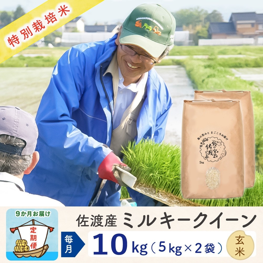 
                  【令和8年産新米 9ヶ月】佐渡島産ミルキークイーン 玄米 10kg (5kg×2袋） 特別栽培米
                
