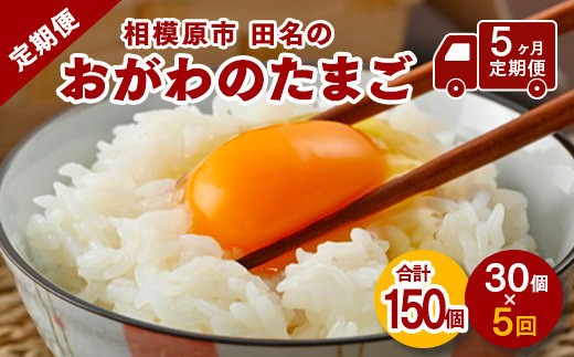 
                  【配送月選択可】相模原市田名のおがわのたまご　ピンク卵 Mサイズ 30個(27個＋割れ補償3個)×5か月| 卵 鶏卵 玉子 たまご 生卵 国産 濃厚 コク 旨味 旨み【5ヶ月定期便】
                