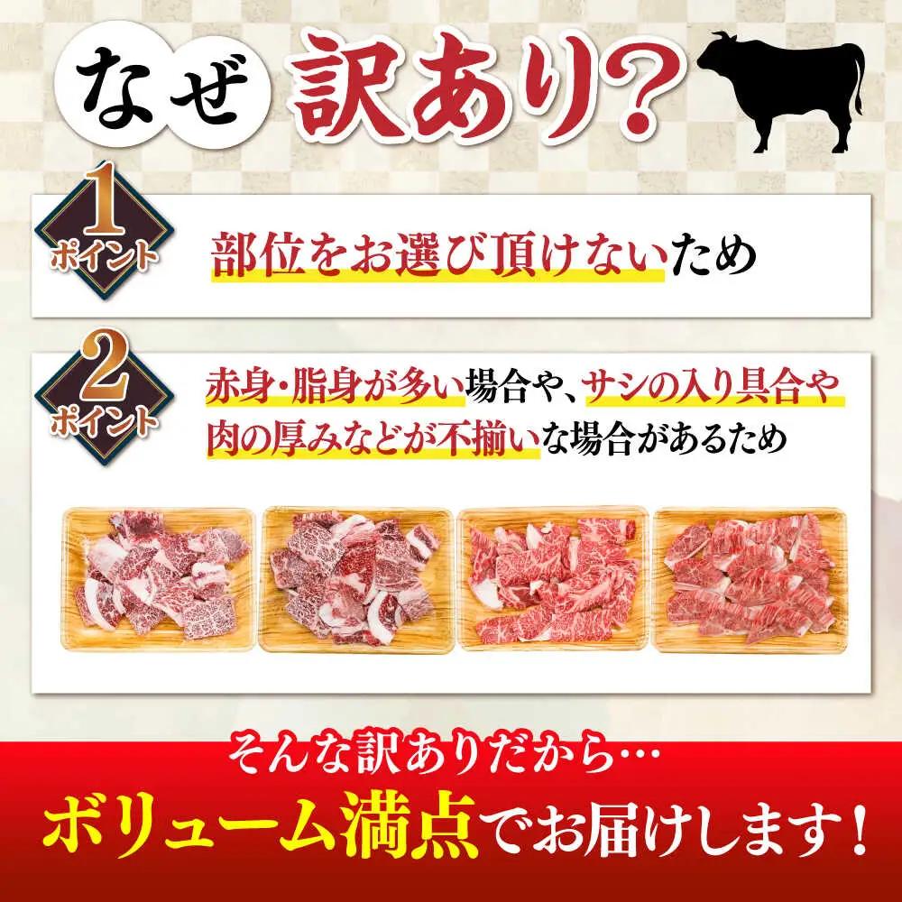 牛肉切り落とし 500g 博多和牛 牛肉切り落とし [ABBP119]