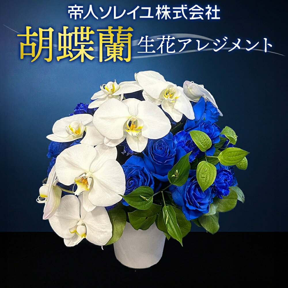 【ふるさと納税】【帝人ソレイユ】041（コ）胡蝶蘭　生花アレンジメント　配送不可地域：離島　《30日以内に出荷予定(土日祝除く)》