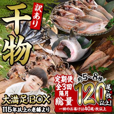 ふるさと納税 佐伯市 <定期便・全3回 (隔月)>訳あり 干物大満足BOX (120尾以上)
