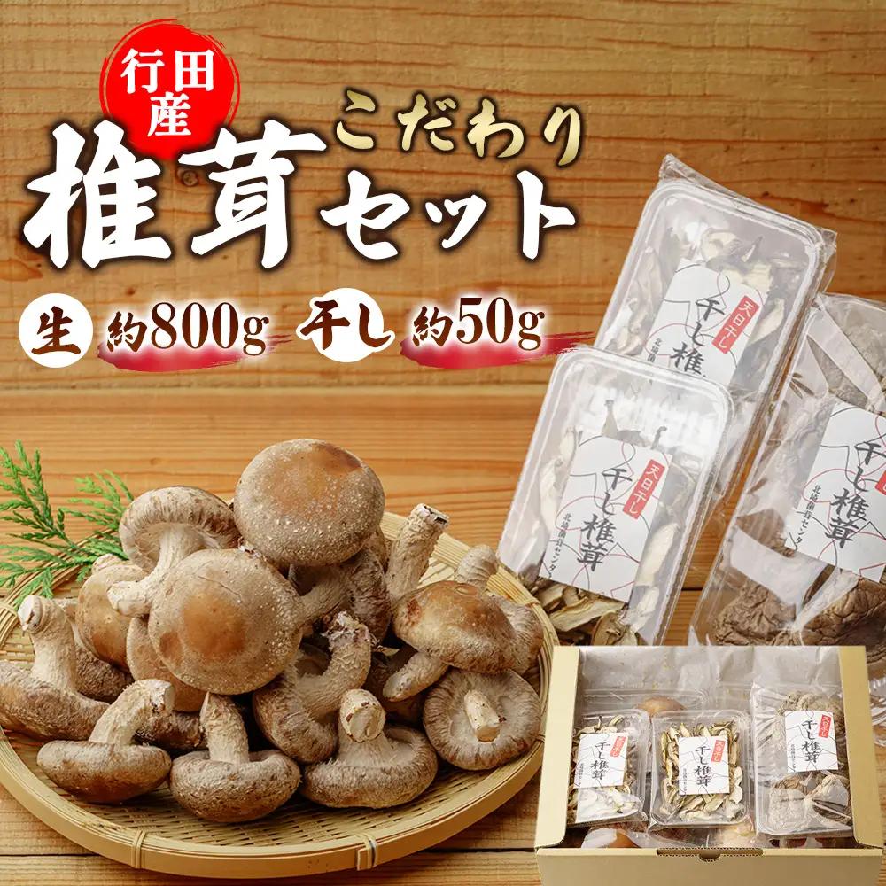 行田産こだわり椎茸セット（生椎茸・干し椎茸） No.005