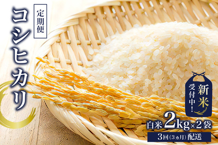 【定期便】【新米】コシヒカリ白米2kg×2【2025年産】【3か月連続でお届け】 mi0015-0003
