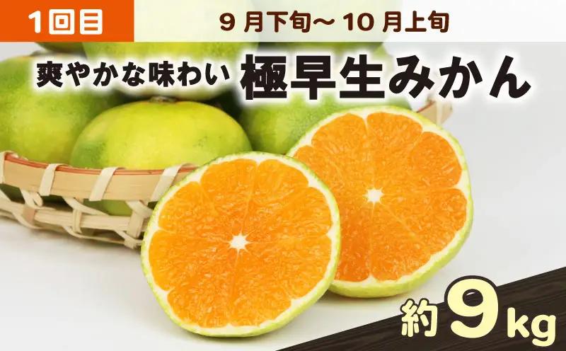 愛媛みかん 旬の みかん 定期便 3回 家庭用 9kg ×3回 極早生 早生 中生 兵頭農園 先行予約 温州 ごくわせ わせ なかて 3ヶ月 mikan 愛媛ミカン 愛媛蜜柑 果物 くだもの フルーツ