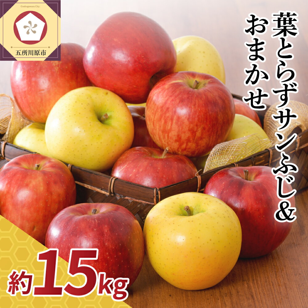 【ふるさと納税】 りんご 15kg 詰め合わせ 計2種 ( 葉とらず サンふじ と他1種 )【 配送時期が選べる 11月～3月 】 秋 旬 フルーツ 青森県 五所川原市