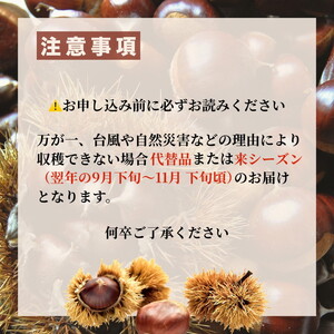丹波栗 厳選大粒 1.2kg 栗