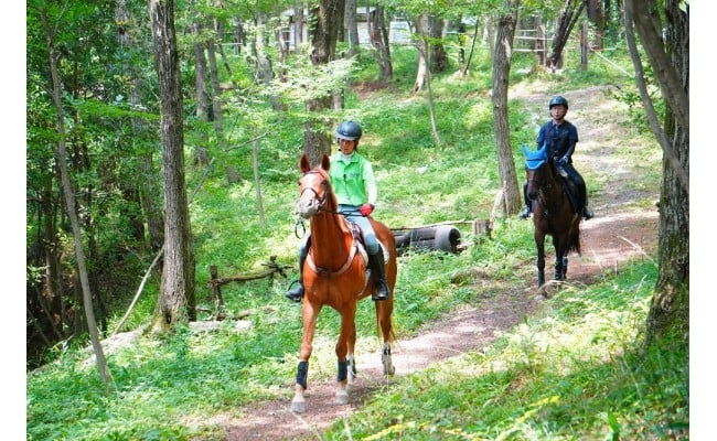 
八王子乗馬倶楽部　本格レッスン３か月コース（自然公園内での外乗付）
