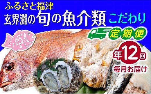 
【年12回毎月】福津の旬の魚介類こだわり定期便【随時開始】[D6470a]
