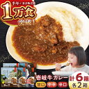 【ふるさと納税】壱岐牛カレーセット（辛口／中辛／甘口）《壱岐市》【アットマーク】 常温配送 レトルトカレー ご当地 常温 レトルト 簡単調理 ギフト[JDW034]