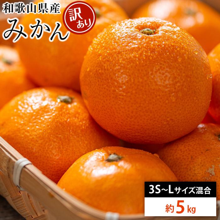 【ふるさと納税】和歌山県産 糖度12.5度 以上 訳ありみかん5kg 3S ～L サイズ混合［MG57］ | フルーツ 果物 くだもの みかん ミカン 蜜柑 柑橘 柑橘類 わけあり 訳アリ ワケあり 自宅用 家庭用 訳あり 規格外 みかん わけありみかん