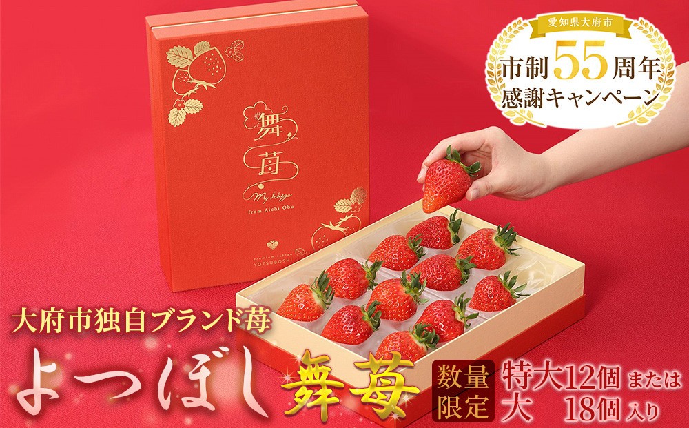 
            数量限定！ブランド苺『舞苺』品種：よつぼし
          