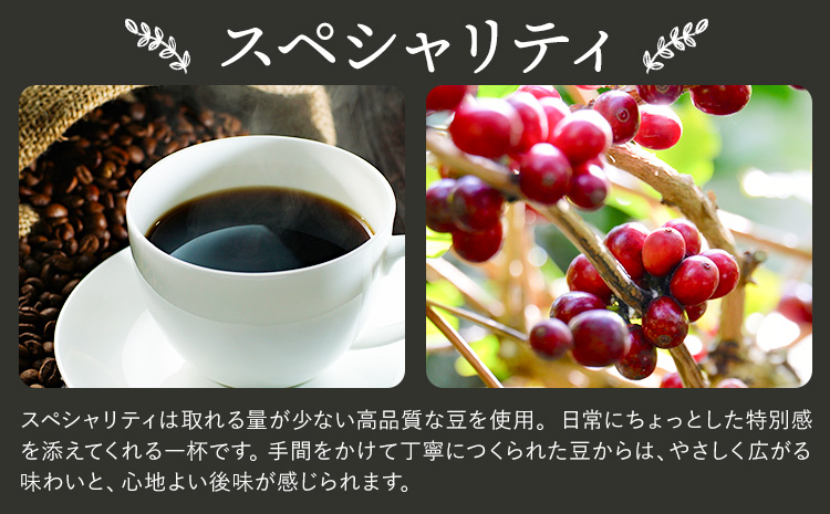 Cコーヒーギフト スペシャリティ 180g モカブレンド 180g 中挽き タウンコーヒー《30日以内に出荷予定(土日祝除く)》和歌山県 岩出市 コーヒー 珈琲 ブレンド カフェイン