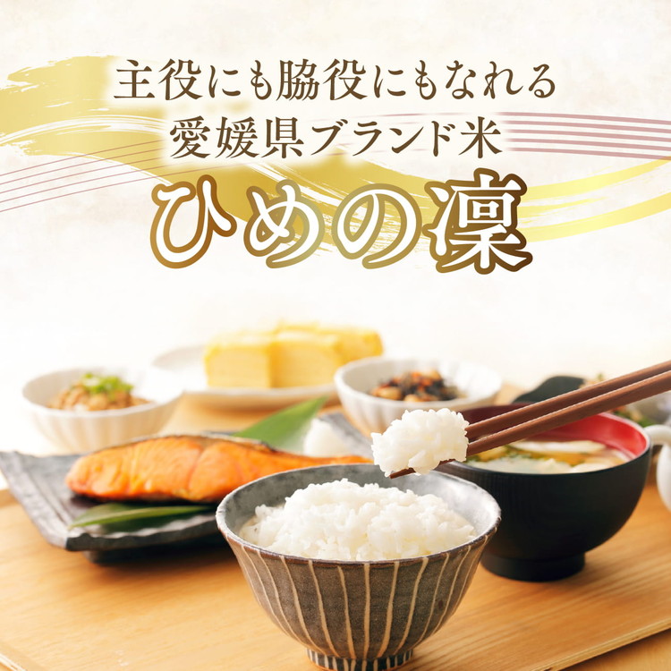 【R7年産】【愛媛県ブランド】ひめの凜 10kg（プレミアムクオリティ） ｜ お米 お米不足 お米品薄 おいしい お米 事業者支援 送料無料 白米 精米 国産 限定 ごはん ご飯 白飯 ゴハン 愛媛県
