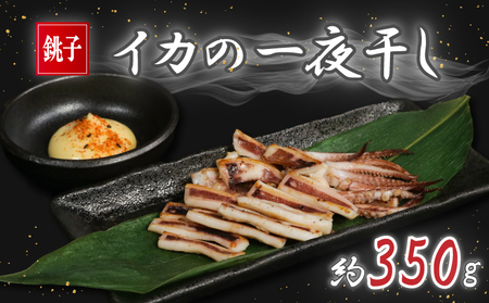 イカの一夜干し 2~4枚 (約350g) イカ イカ ヤマワカ水産