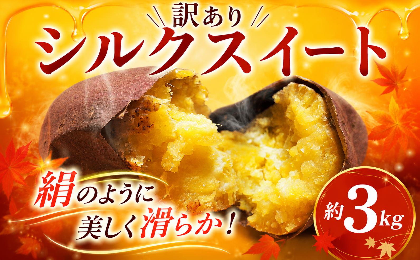
                  シルクスイート 3kg 訳アリ 先行予約 【2026年12月以降発送】 3キロ しるくすいーと さつまいも サツマイモ 芋 熟成 焼き芋 に おすすめ 産地直送 不揃い 訳あり わけあり 椎名農園 千葉県 香取市 SIN001
                