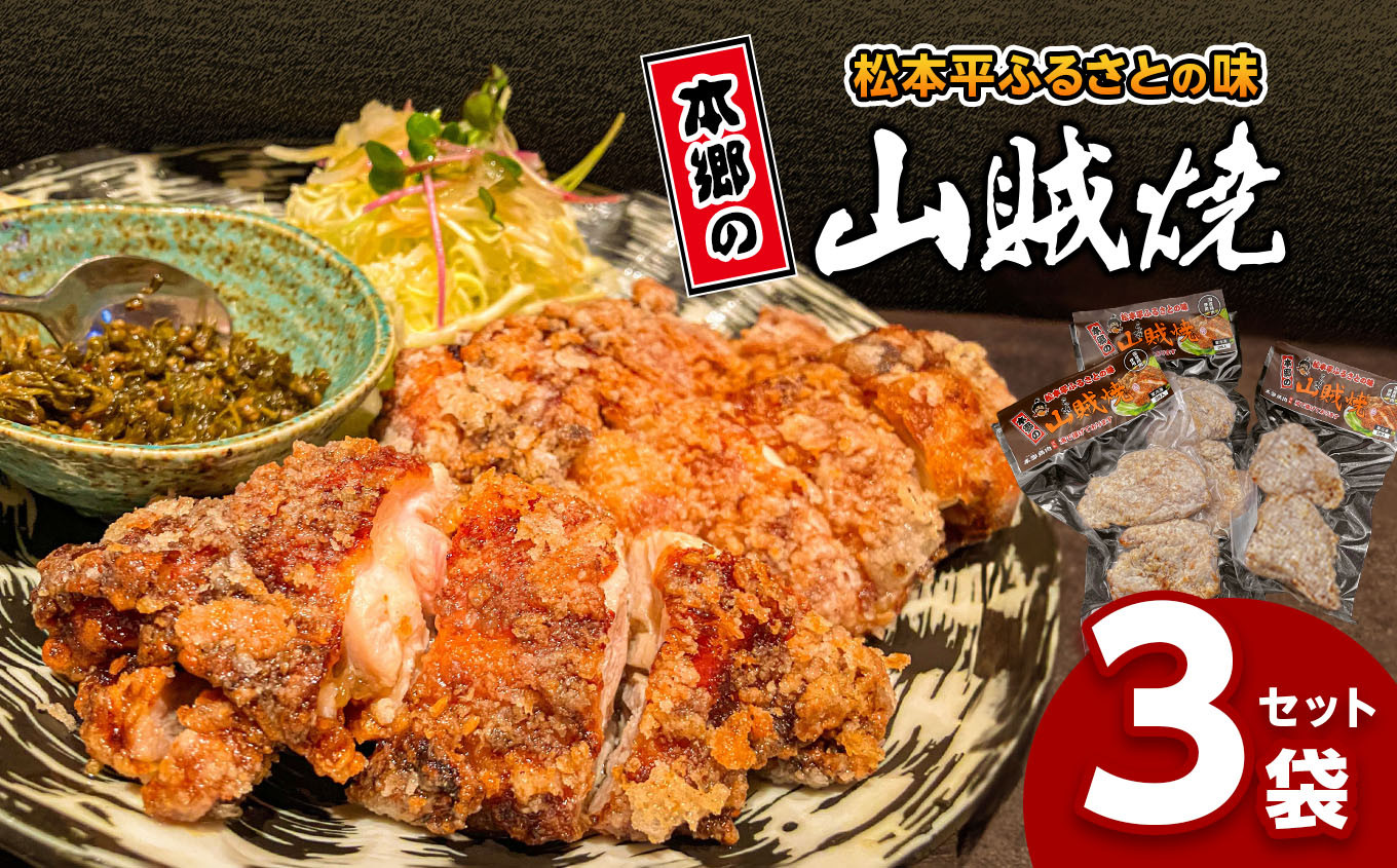 
            松本　地元グルメ　山賊焼き真空パック　3袋セット｜ふるさと納税 松本市 信州 ご当地 名物 山賊焼き 鶏肉 鶏唐揚げ 唐揚げ 郷土料理 肉 冷凍 セット 鶏もも グルメ ガーリック
          
