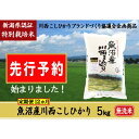 【ふるさと納税】【先行予約】【定期便／12ヶ月】無洗米 魚沼産川西こしひかり5kg　新潟県認証特別栽培米 令和6年度米＜令和6年10月上旬～発送予定＞　定期便・十日町市　お届け：令和6年10月上旬～発送開始予定。毎月1回。全12回のお届け。