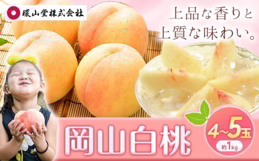 【2025年先行予約】桃 もも 岡山白桃 4~5玉 約1kg 岡山県産 環山堂株式会社《2025年7月上旬-8月中旬頃出荷》岡山県 浅口市 白桃 果物 フルーツ 送料無料
