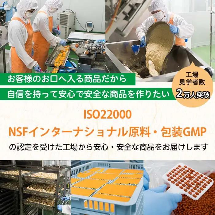 No.1286-A ＜定期便・全3回(隔月)＞GABA100(1袋 62粒入・2袋×3回 計6袋) 鹿児島 日置市 健康食品 機能性表示食品 サプリ 栄養バランス 食生活 安心安全 デスクワーク スト