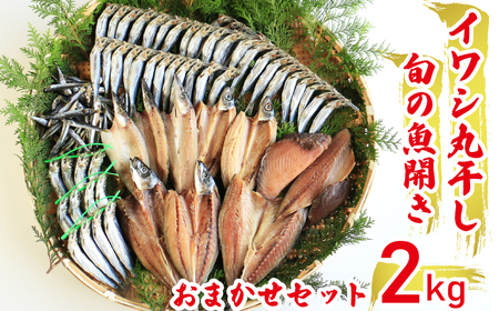 干物 丸干し 開き おまかせセット 2kg 干物