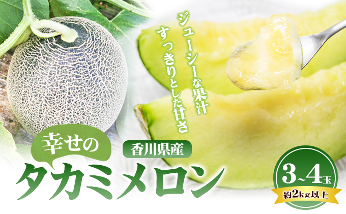 幸せの「タカミメロン」3玉～4玉（約2kg以上） フルーツ 果物 