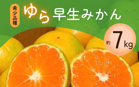 ご家庭用 ゆら早生みかん約7kg　サイズ混合【10月上旬より発送】 ※2026年10月上旬より順次発送予定【nuk002E】