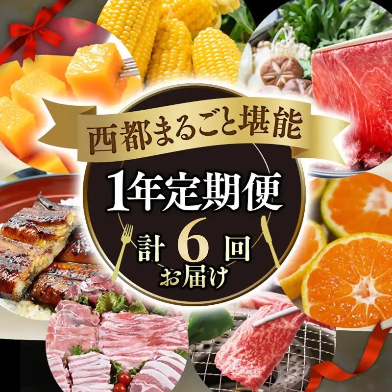 【季節の定期便B】1年間届く 西都まるごと堪能セット6品お届け！【わくわくコース】 宮崎完熟マンゴー 宮崎牛 うなぎ いちご 地鶏 もつ鍋 すき焼き＜1-2a＞