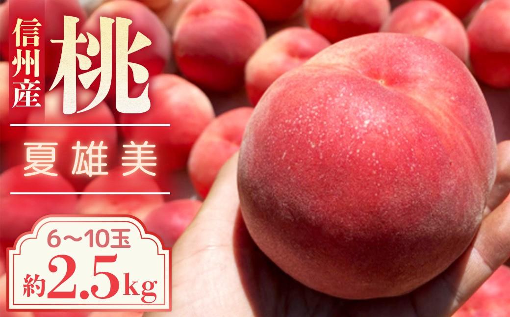 
            【2026年発送先行予約】桃　夏雄美　約2.5kg【6～10玉】農家直送　もも
          