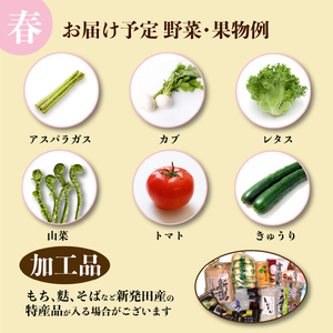 【5月開始】 野菜定期便 年4回 8～12種類 数量限定 野菜定期便 詰め合わせ 旬 野菜BOX 詰め合わせ 野菜定期便 野菜定期便 せいだ seida011