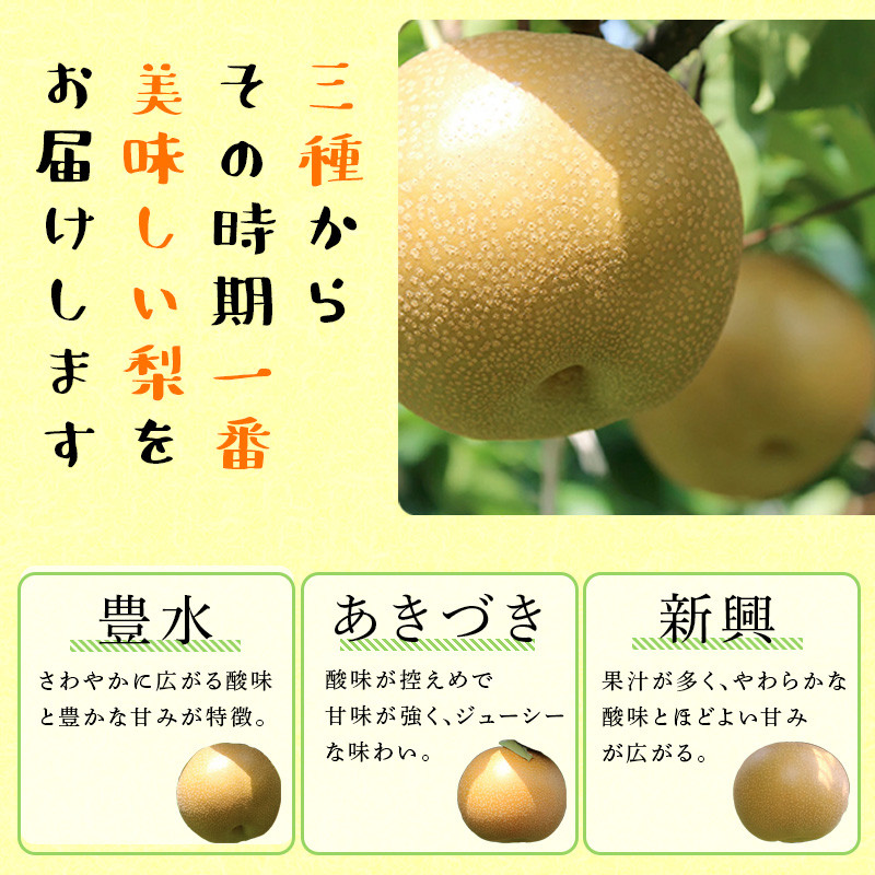 FKP9-721 【先行予約】【訳あり】一勝地梨 小玉 約5kg