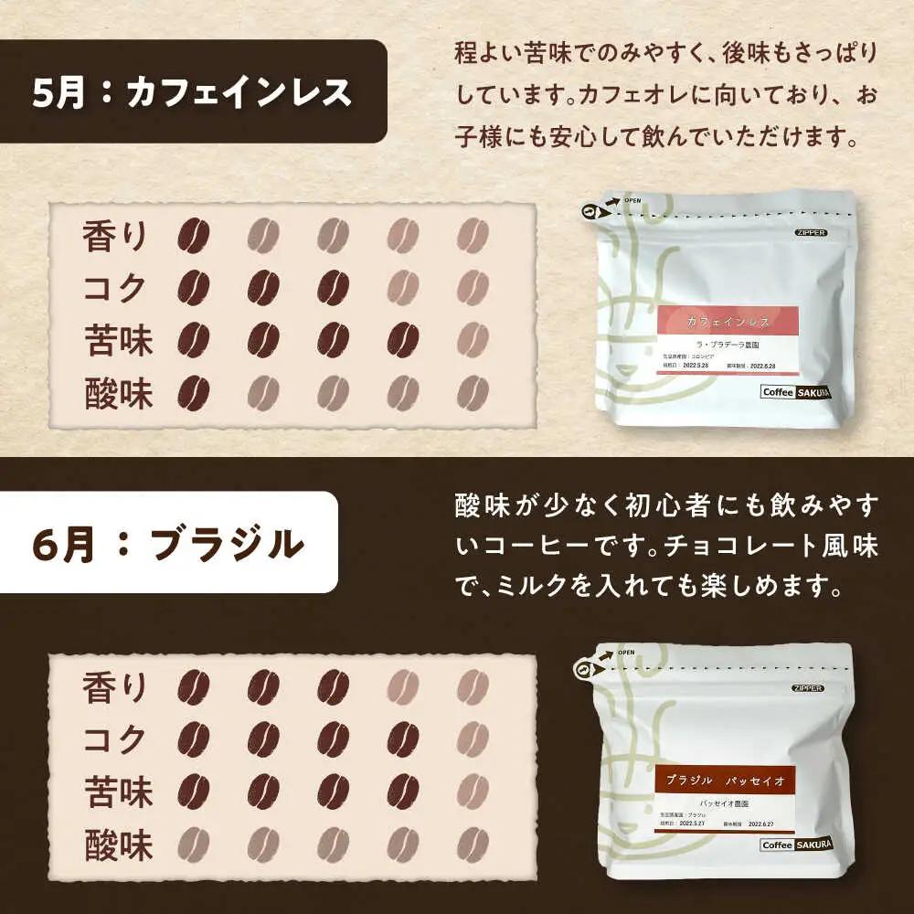 【全12回定期便】世界を旅するコーヒー(豆) / 珈琲 コーヒー / Coffee SAKURA[BBAB150]