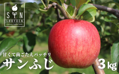 りんご サンふじ 3kg 令和8年 産 松陽園 岩手県 遠野市 2026年12月上旬発送予定【配送不可地域：離島】【1332208】
