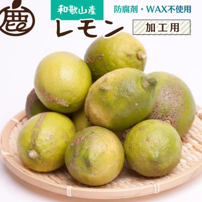 ふるさと納税 湯浅町 加工用 レモン5kg+250g(傷み補償分)【和歌山有田産】【防腐剤・WAX不使用、国産】【訳あり】