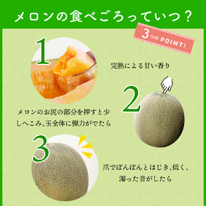 【2024年8月上旬発送】メロン5kg程度(緑肉4～6玉)津軽産