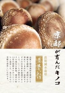 お野菜セット アビトルベジタブル+しいたけ+お米2kg 合計8～10品目詰め合わせセット 季節の野菜 旬の野菜 やさい 新鮮 産地直送 米 きのこ キノコ お米 産直 国産 京都 京都産 ※北海道・沖