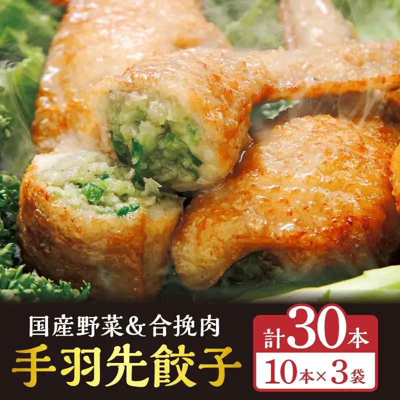 手羽先餃子30本入り 餃子 ぎょうざ 手羽餃子 手羽先餃子 おススメ おかず お惣菜 惣菜 お取り寄せ グルメ 名物 手羽