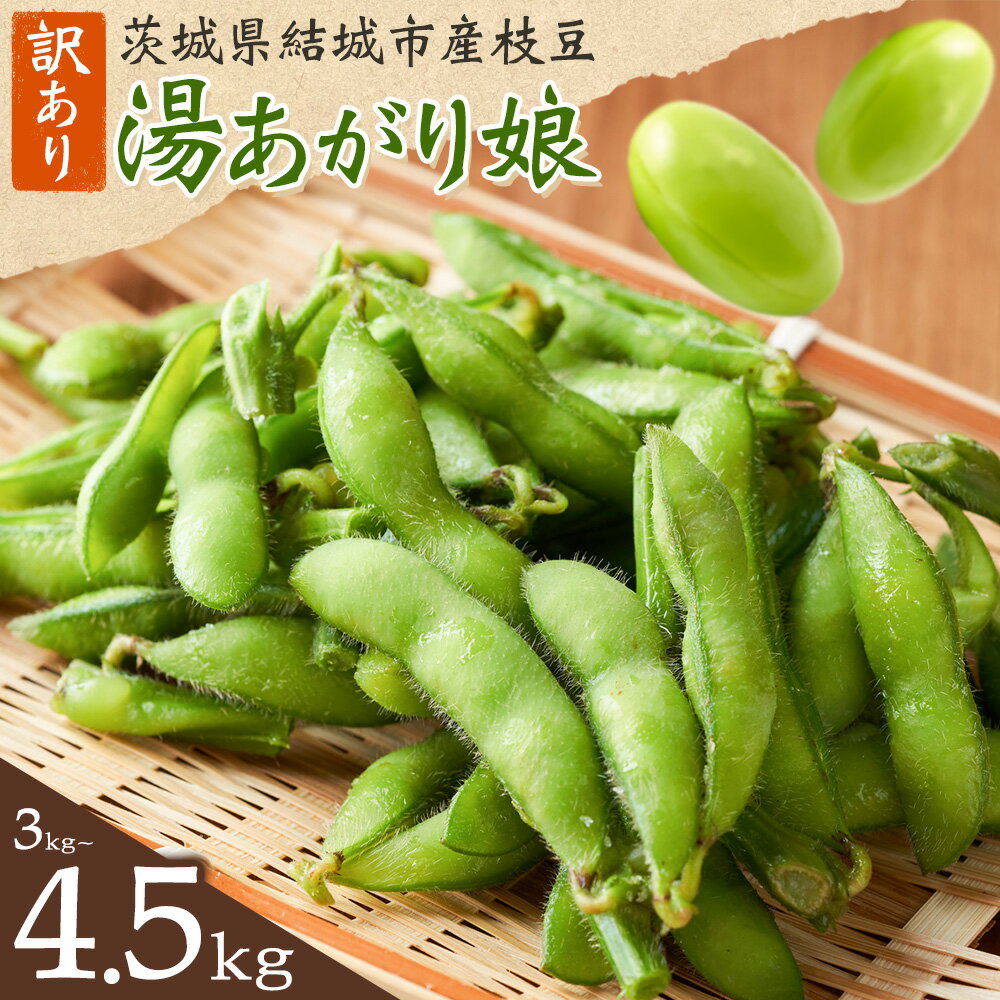 【ふるさと納税】【先行予約・訳あり】 茨城県結城市産枝豆「湯あがり娘」3kg 4.5kg （茶豆味）　有限会社大嶋農園 《7月中旬-8月上旬頃出荷》 野菜 国産 甘み 香り 濃厚 つまみ ビールのおつまみ ビールのつまみ 【配送不可地域あり】