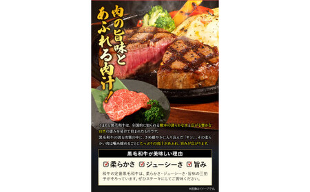 くまもと黒毛和牛 ヒレステーキ 500g 250g × 2枚 牛肉 冷凍 《1月中旬-4月末頃より出荷予定》 くまもと黒毛和牛 黒毛和牛 冷凍庫 個別 取分け 小分け 個包装 ステーキ肉 にも ヒレス