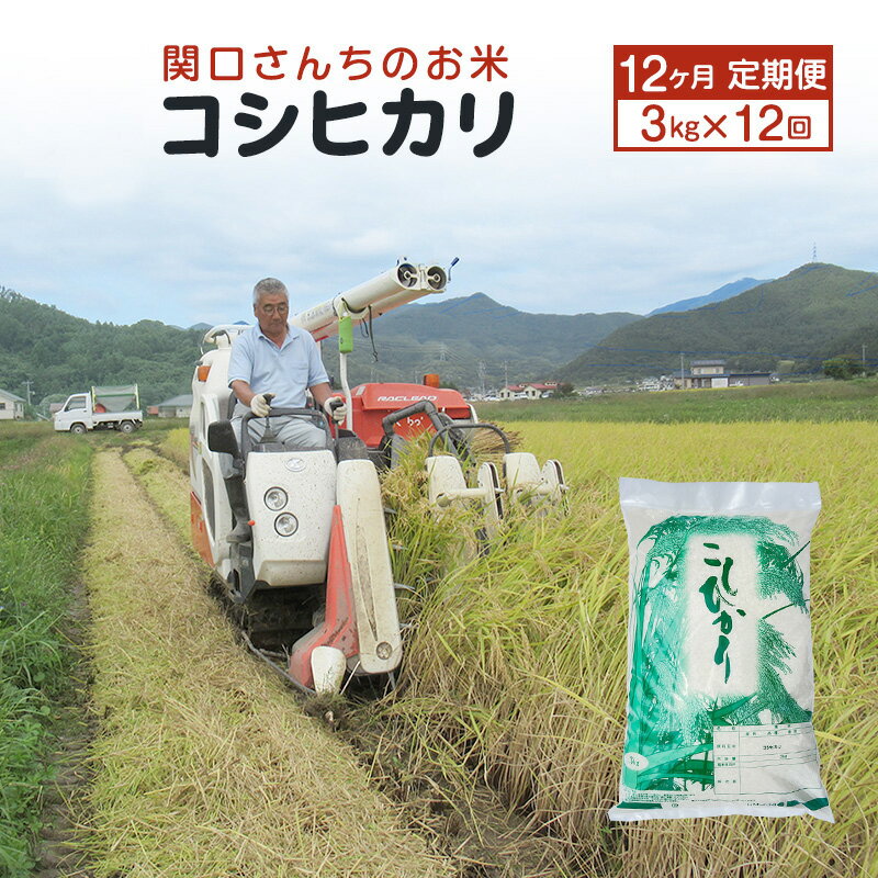【ふるさと納税】米 定期便 12ヶ月 関口さんちのお米 コシヒカリ 3kg お米 こめ コメ 精米 白米 ご飯 こしひかり 長野 信州 12回 お楽しみ