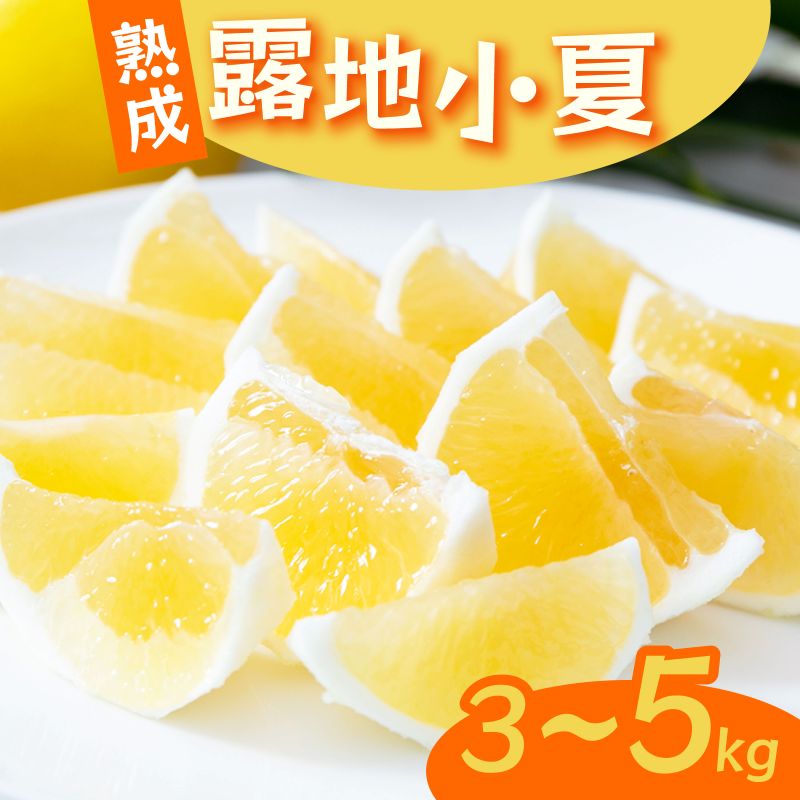 【ふるさと納税】 【2026年5月より発送】 熟成 露地小夏 3～5kg | 小夏 柑橘 フルーツ ジューシー 果物 期間限定 旬の果物 ご家庭用 国産 生産者 農家 直送 高知県 室戸市